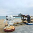 카카오여관 | 2025 가을 술쟁이와 함께한 2박3일 강릉여행 첫번째