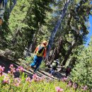 2025.7/1 ~ 7/6 요세미티( 4-Miles Trail and Cathedral Lake Trail 이미지