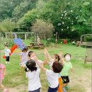 행복한 숲 어린이집 이미지