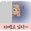 플라워박사