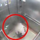 아기세상어린이집 이미지