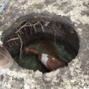 (주)키티타스 이미지