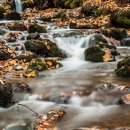 영재어린이집 이미지