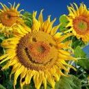 구로푸른학교 이미지