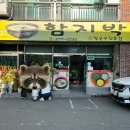 함지박해물손칼국수