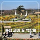이기충 농장 | 2026 충남 태안 여행 코스 4 튤립 세계 꽃 박람회 네이처월드 축제 예매 할인 및 후기