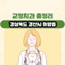 하양탑치과 | 경상북도 경산시 하양읍 교정치과 총정리