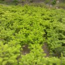 새온농원 이미지