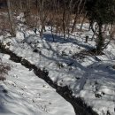 산업목장 | 강원도 겨울여행｜대관령 양떼목장 눈 쌓였을까? 12월 중순 방문 후기