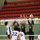 상아배이길 이미지