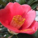 야지농장 이미지