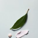 비트윈아지트