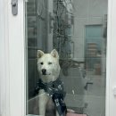 다나동물의료센터 이미지