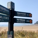 활주로야영장 이미지