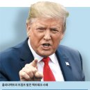 팩트앤지
