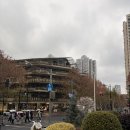 홍미만두 | 🇨🇳상하이 신천지 홍미창펀 맛집 점도덕 | 메뉴 추천 차오미엔