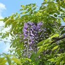 바우길 13구간 이미지