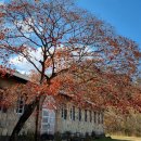 인민군사령부막사 이미지