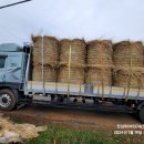 이용상 농장 이미지