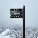 1차: 2026년1월3일(토) 영남알프스(가지산+운문산) BAC100대 명산 이미지