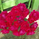 하나정비공장 이미지