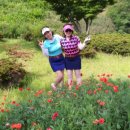 블루골프 이미지