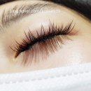 김미더스킨