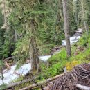 (주)휘슬러비씨 이미지