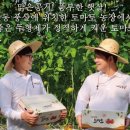 신양로(풍산읍) 이미지