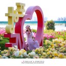 형산강 장미원 이미지