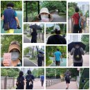 7월14일 청라호수공원 / 굴포천 이미지