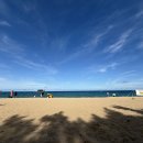 힐링의 바다 이미지