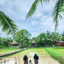 온유농장 | 태국 푸켓 아이와 가볼만한곳 농장 체험 올드푸켓팜 Old Phuket Farm