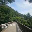 2020-주142 | 두타산 정상 일출 산행 후기 - 두타산 등산코스 추천│소요시간, 난이도(댓재-통골재-두타산 정상-베틀...