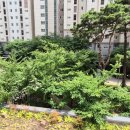 새뜸세탁소 이미지