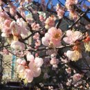 연화할매집 이미지