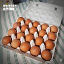 에그레시피 | [슬로우에그] 난각1번 유정란으로 만든 샥슈카, 에그인헬 레시피