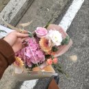 몽플라워