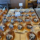 호두 단팥빵(BGT) 이미지
