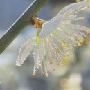 청계천길 이미지