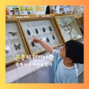 꿀벌키우는 농원 | 충북아쿠아리움 옆에 곤충체험전시관
