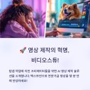 블로그&동영상제작 이미지