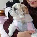 장하다농원