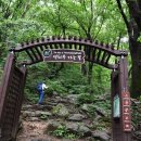 단양죽령사과 이미지