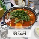 북항원조탕집왕언니네탕집 | 목포 북항 맛집 / 북항원조탕집 왕언니네탕집 현지인도 줄서먹는 우럭매운탕
