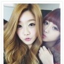 댕데이지 이미지