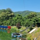 추곡터널낚시터 이미지