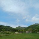 랑스수산 네이버블로그
