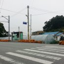 본성1리 Daum카페