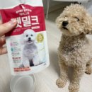 애견용품 할인매장 | "안양펫마트" - 안양 최대규모 애견용품, 애견용품 할인매장, 안양애견동반 할인점
